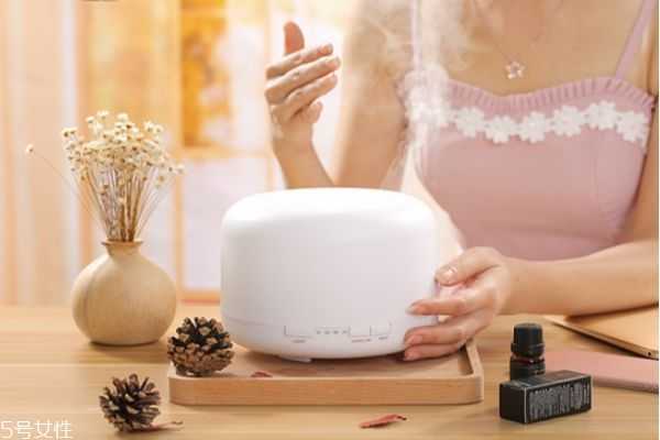 加湿器和蒸脸器有什么区别