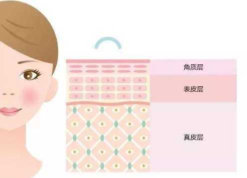 脸部角质层薄怎么修复 脸部角质层薄怎么修复