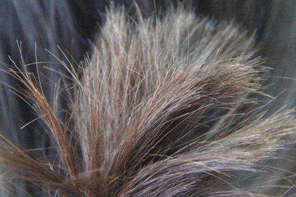 发多久洗一次最好？