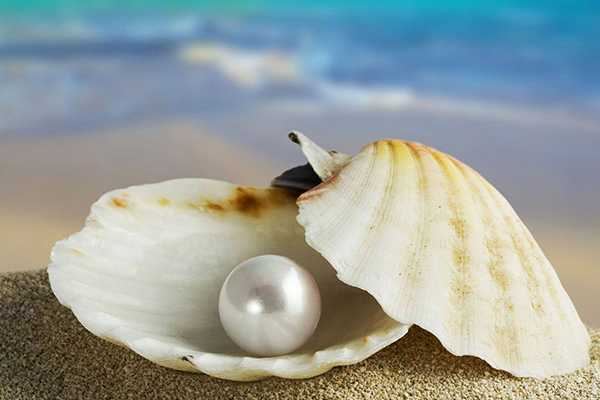 珍珠粉美白吗 珍珠粉美白吗