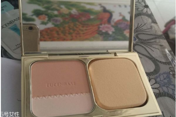 透真粉饼怎么样 透真干湿两用粉饼