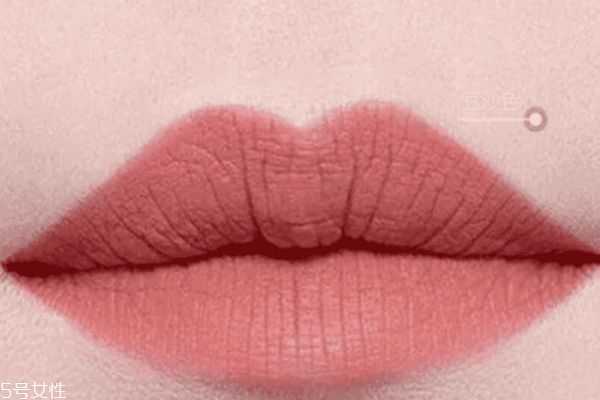 哪些色号口红比较适合冷皮？适合冷皮的口红颜色