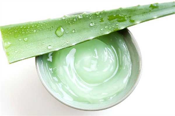 芦荟胶可以天天抹在脸上吗？芦荟胶的正确用法