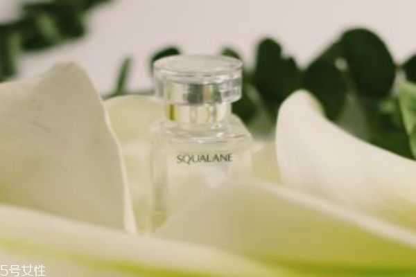 haba是怎么样的品牌呢 haba是怎么样的品牌呢