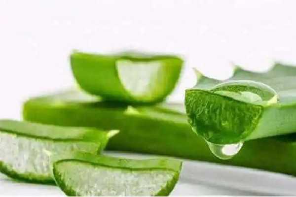 新鲜芦荟擦脸多久洗掉 新鲜芦荟擦脸多久洗掉