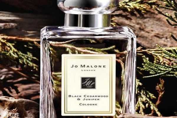雪松味香水有哪些？雪松味香水推荐