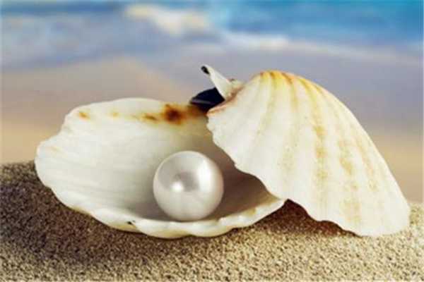 珍珠粉和什么做面膜好 珍珠粉做面膜的正确做法