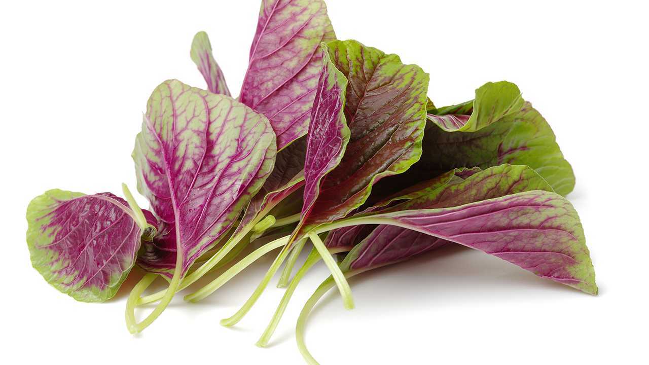 食盐可以美容吗? 