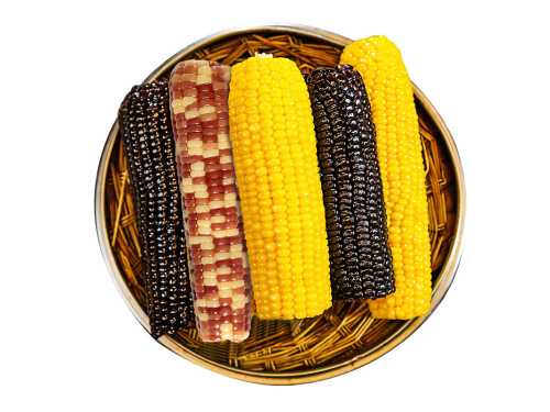 十大减肥食物排行榜 减肥食物哪些比较好