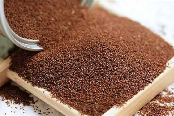 海藻面膜的正确使用方法 海藻面膜的正确使用方法