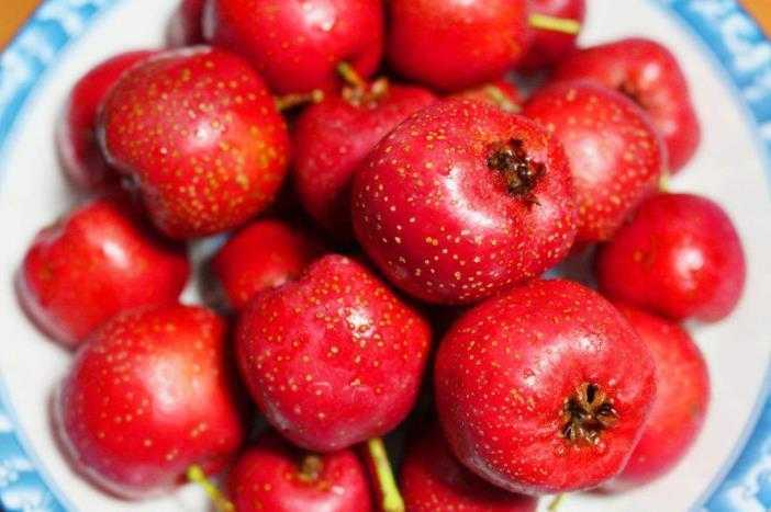 山楂能和牛奶一起吃吗