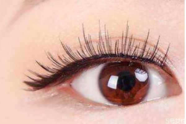 新手怎么买假睫毛 新手怎么买假睫毛