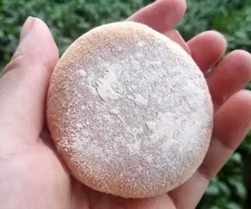 蜜粉一般什么时间用最合适