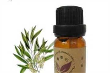 孕妇可以用茶树精油吗