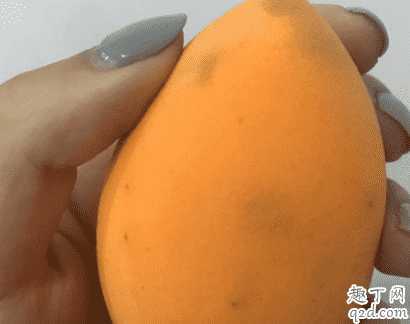 三月兔美妆蛋和rt美妆蛋哪个好 三月兔美妆蛋和rt美妆蛋哪个好