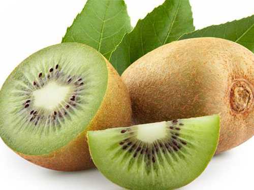 减肥的最好方法有哪些?什么方法减肥最好呢 减肥的最好方法有哪些?什么方法减肥最好呢