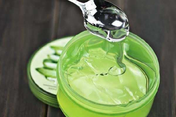 芦荟啫喱和芦荟胶一样吗 芦荟啫喱和芦荟胶的区别