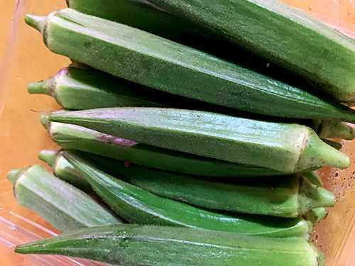 秋葵是养胃还是伤胃?胃病吃秋葵养胃吗 秋葵是养胃还是伤胃?胃病吃秋葵养胃吗