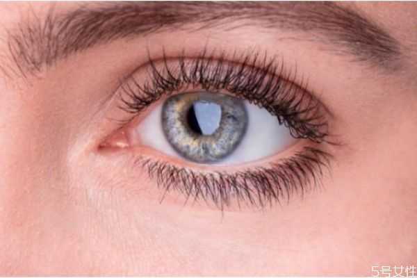 假睫毛怎样清洗？怎么清理卸下来的假睫毛