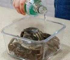 大闸蟹的清洗方法 大闸蟹的清洗方法