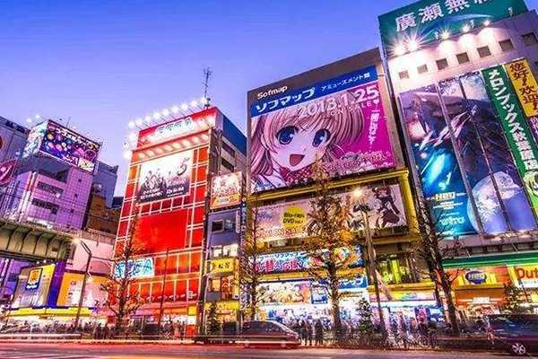 苏菲娜白蕾丝日本哪里买?