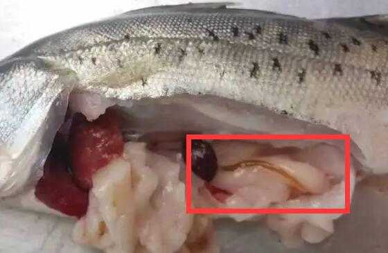 鲈鱼为什么叫癌鱼? 鲈鱼为什么叫癌鱼?