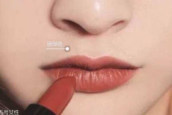 暖色皮肤适合什么口红?适合暖色皮肤的口红 暖色皮肤适合什么口红?适合暖色皮肤的口红