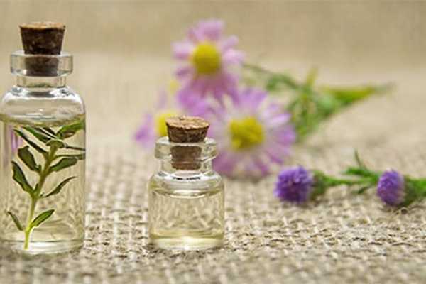 薰衣草精油的功效和作用