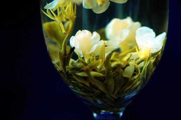 龙井和茉莉能一起泡吗