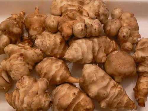 鬼子姜怎么腌制又脆又好吃?鬼子姜的功效与作用禁忌 鬼子姜怎么腌制又脆又好吃?鬼子姜的功效与作用禁忌