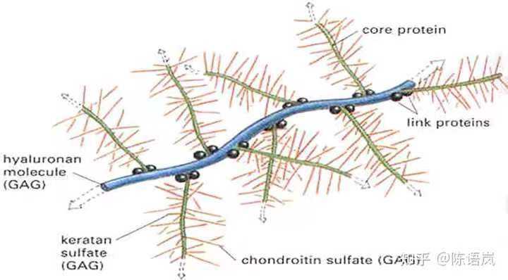 眼霜真的有用吗？