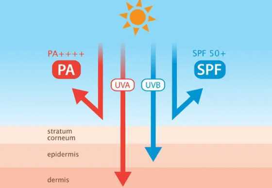 防晒霜的pa值越大越好吗 防晒霜的pa值越大越好吗