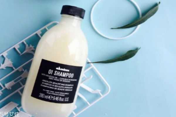 大卫尼斯洗发水怎么样