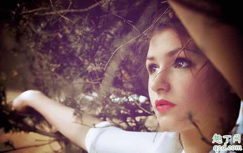 头发用护发素好还是精油好 护发素与护发精油差别在哪 头发用护发素好还是精油好 护发素与护发精油差别在哪