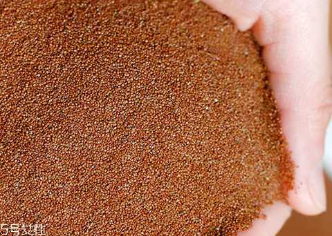 海藻面膜能加蜂蜜吗?蜂蜜和海藻做面膜好吗? 海藻面膜能加蜂蜜吗?蜂蜜和海藻做面膜好吗?