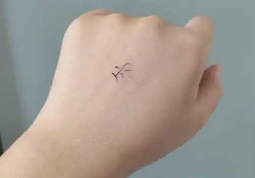 素颜霜是白天用还是晚上用