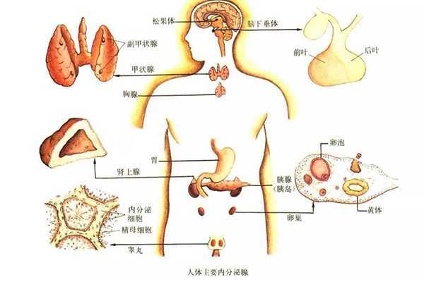 皮肤越来越黑是什么原因 皮肤越来越黑是什么原因
