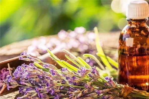 精油过期了但没开封可以用吗?精油过期了一个月还能用吗 精油过期了但没开封可以用吗?精油过期了一个月还能用吗
