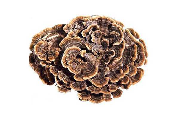 菌菇水湿敷完需要洗吗 菌菇水湿敷完需要洗吗