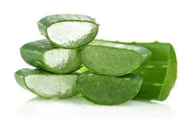 简单自制芦荟胶方法 简单自制芦荟胶方法
