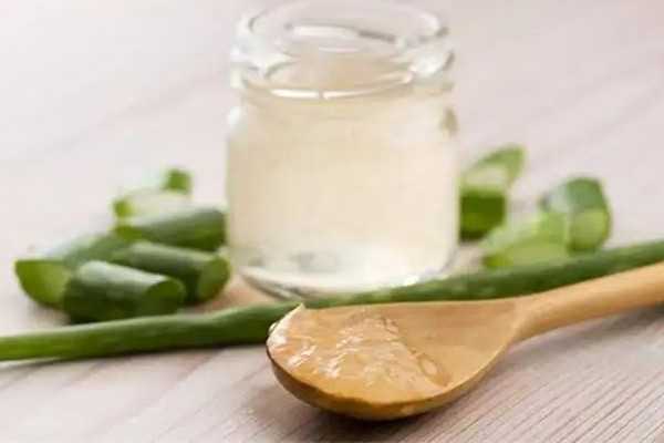 新鲜芦荟可以修复疤痕吗 新鲜芦荟可以修复疤痕吗