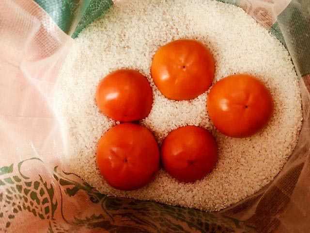 柿子没熟怎么催熟 柿子没熟怎么催熟