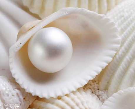 珍珠粉在哪里可以买到?正宗的珍珠粉哪里买 珍珠粉在哪里可以买到?正宗的珍珠粉哪里买