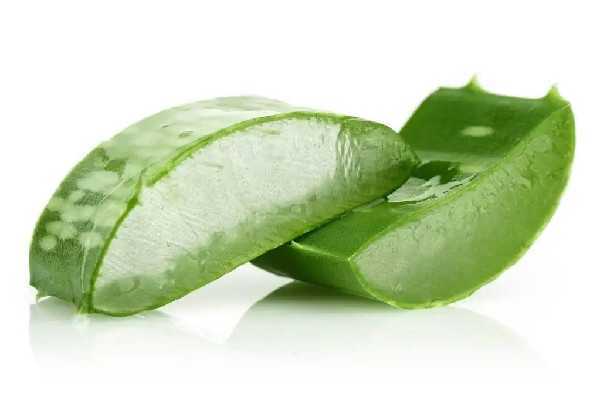 新鲜芦荟可以修复疤痕吗 新鲜芦荟可以修复疤痕吗