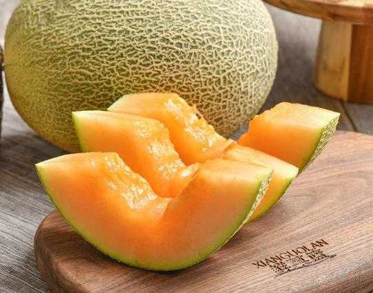 切开的哈密瓜放冰箱能放几天