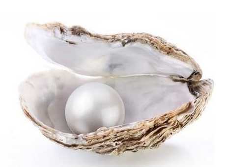 珍珠粉为什么那么便宜 珍珠粉为什么那么便宜