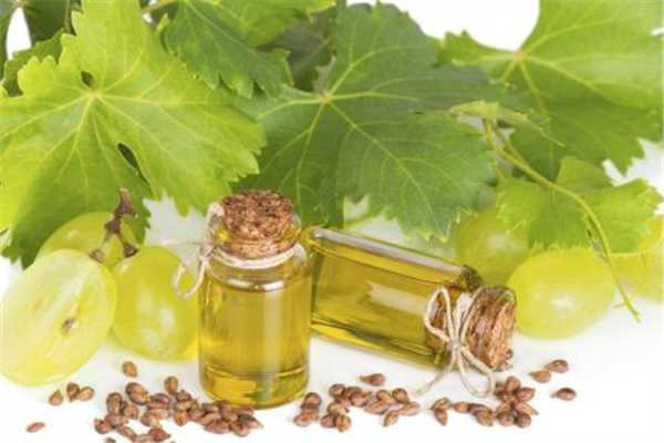 橄榄油防晒效果怎么样