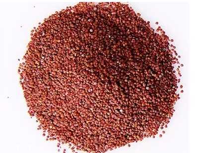 海藻面膜是什么种子？海藻面膜到底是什么？