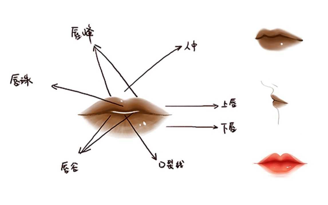 新手涂口红的正确步骤 这样涂才会不沾杯 新手涂口红的正确步骤 这样涂才会不沾杯