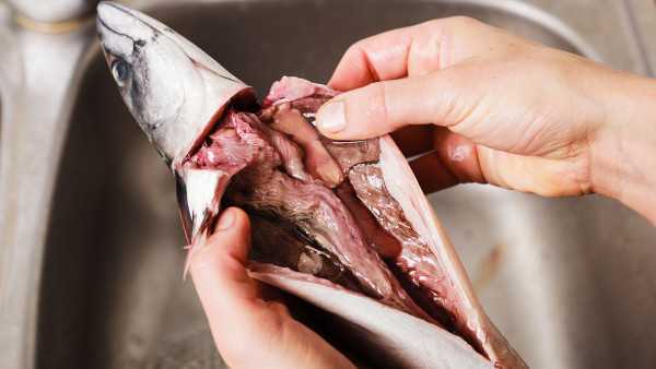 如何才能补血?经期补血是最好的补血时间 如何才能补血?经期补血是最好的补血时间